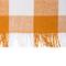 DII® Pumpkin Spice Heavyweight Check Fringed Placemat Set